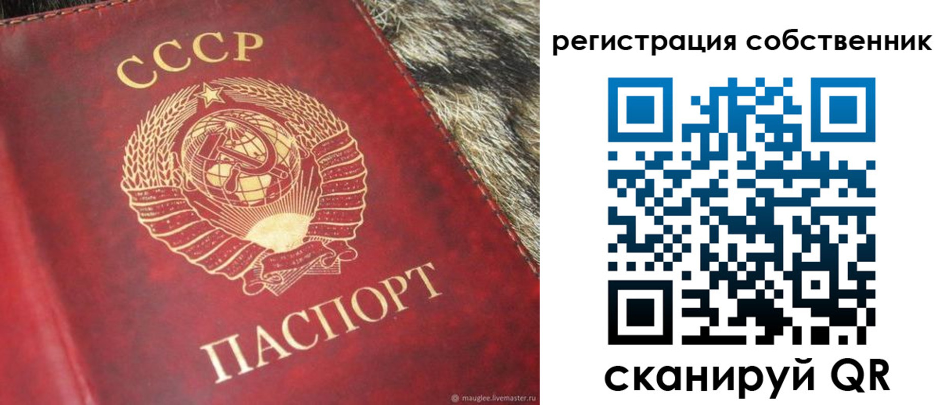 временная регистрация надежно в Лузе